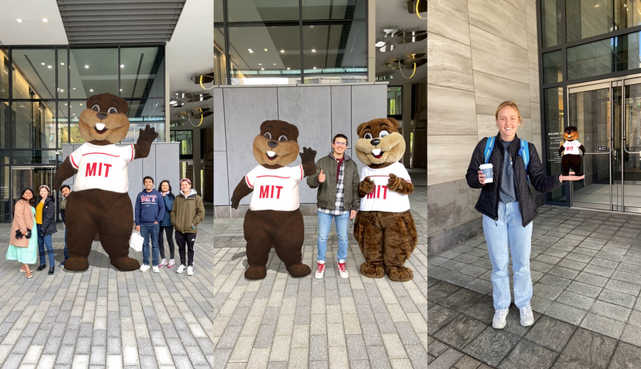 MIT’s mascot Tim the Beaver is ready to travel virtually anywhere in the world