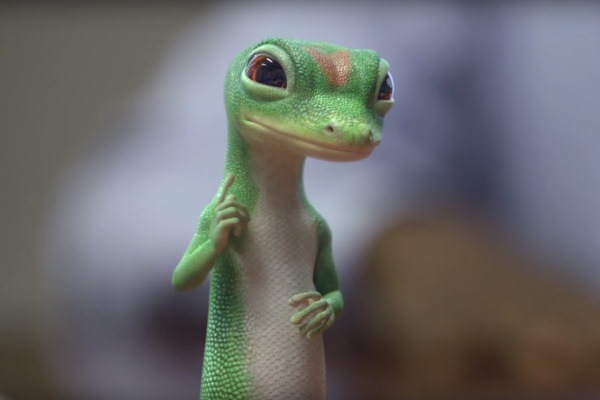 19. gecko