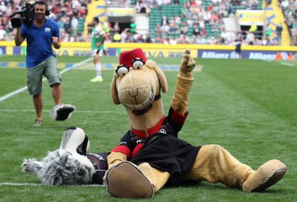 sports mascots