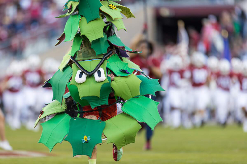 sport mascots